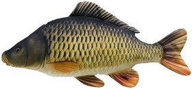 Gaby Polštář Kapr šupináč 64 cm,Gaby Polštář Kapr šupináč 64 cm