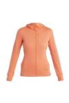 ICEBREAKER Wmns Merino 260 Quantum IV LS Zip Hoodie, Tang velikost: XS