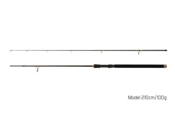 Delphin Prut Murena 240cm 100g,Delphin Prut Murena 240cm 100g