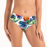 Style Mira Bottom kalhotky 8478-0 multi colour - Anita Classix 009 multi colour 38