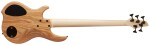 Dingwall Combustion 5 PF Natural
