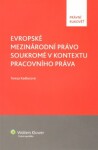 Evropské mezinárodní právo soukromé v kontextu pracovního práva