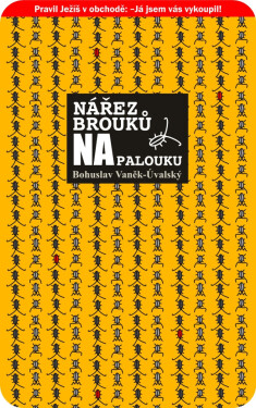 Nářez brouků na palouku - Bohuslav Vaněk-Úvalský