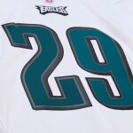 Mitchell & Ness Pánský dres Philadelphia Eagles NFL LeSean McCoy #29 2009 Legacy Throwback Velikost: 2XL