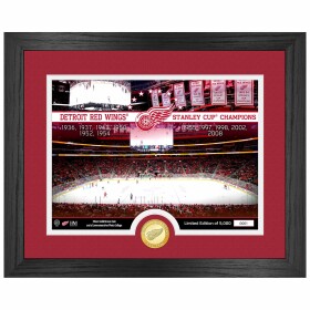 Obraz Detroit Red Wings NHL 11-Time Stanley Cup Champions Bronze Coin