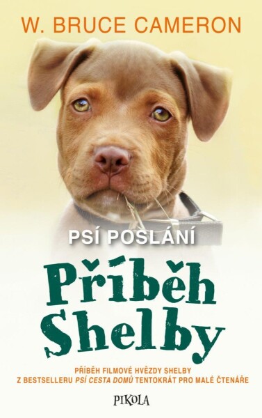 Psí poslání: Příběh Shelby