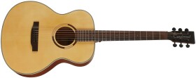 Tanglewood TS3