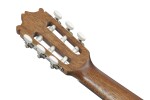 Ibanez GA2 Amber