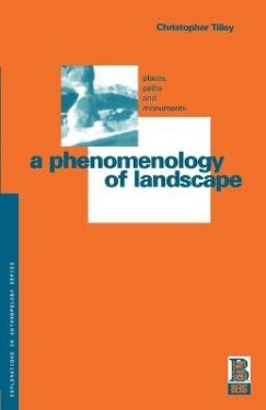 Phenomenology of Landscape