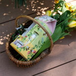 HEATHCOTE & IVORY Dárková sada kosmetiky Busy Bees – set 3 ks, žlutá barva