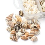 Přírodní mořské mini mušle bez dírky - sada v krabičce 50g - cca 6 ~ 18 mm - 1 balení