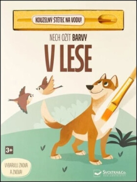 Nech ožít barvy V lese - Kolektiv