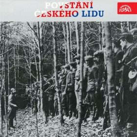 Povstání českého lidu - Josef Mašek