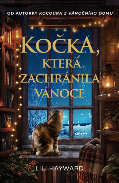 Kočka, která zachránila Vánoce - Lili Hayward