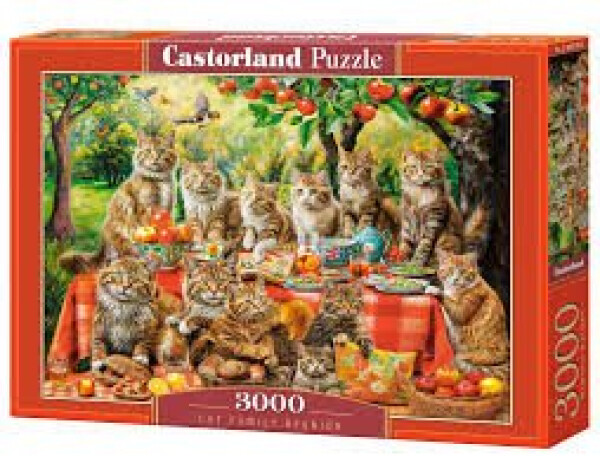 Castorland Puzzle Cat Family Reunion 3000 dílků