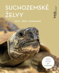 Suchozemské želvy