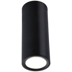 Paulmann 93107 Barrel LED osvětlení na stěnu/strop, LED, 6 W, černá (matná)