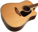 Takamine GD51CE-NAT