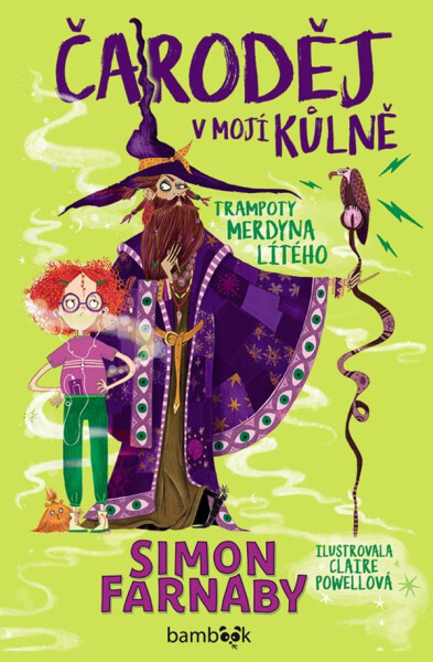 Čaroděj v mojí kůlně - Trampoty Merdyna Lítého - Simon Farnaby