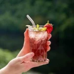 LEROS Bucco Cold brew 20x1,8 g