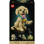 LEGO LEGO® Icons 11384 Štěně zlatého retrívra