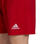Pánské šortky Entrada 22 H61735 Adidas