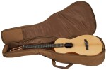 Taylor Academy 12e-N LTD