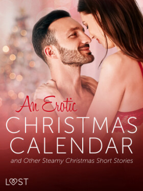 An Erotic Christmas Calendar and Other Steamy Christmas Short Stories - LUST authors - e-kniha