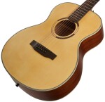 Tanglewood TS3