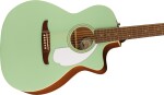 Fender Newporter Player WN SFG