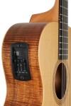 Taylor Academy 12e-N LTD