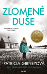Inspektorka Lottie Parkerová 7: Zlomené duše - Patricia Gibneyová