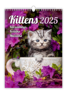 Nástěnný kalendář 2025 Koťátka