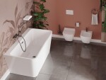 DEANTE - Silia titan - WC kartáč, nástěnný ADI_D711