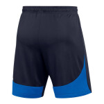 Šortky Nike Dri-FIT Academy Pro M DH9236-451 XL (188 cm)