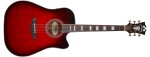 D'Angelico Premier Bowery Trans Black Cherry Burst