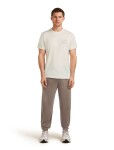ICEBREAKER Mens Mer 150 Tech Lite SS Tee Peaceful Pass, Ecru Hthr velikost: XL
