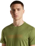 ICEBREAKER Mens Merino 150 Tech Lite SS Tee IBCoordinates, Sphagnum velikost: XL