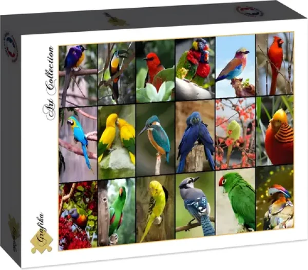 GRAFIKA Puzzle Nejkrásnější ptáci světa