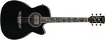 Ibanez AC391RCE Black Top