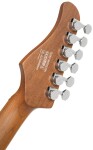 Cort G290 Modern PGR