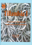 Tillandsia