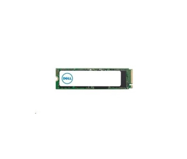 DELL M.2 PCIe NVME Class 40 2280 Solid State Drive - 1TB EDF_1332399