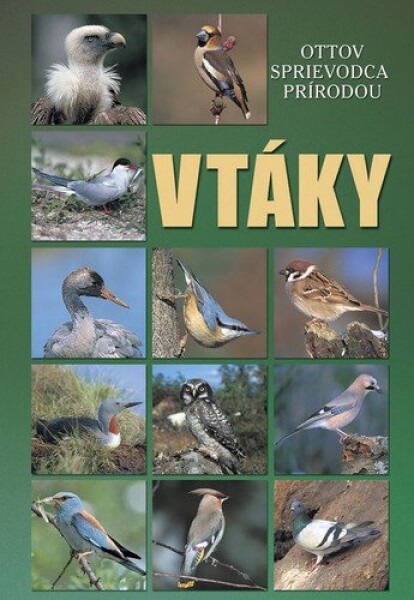 Vtáky