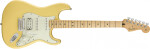 Fender Player Stratocaster HSS