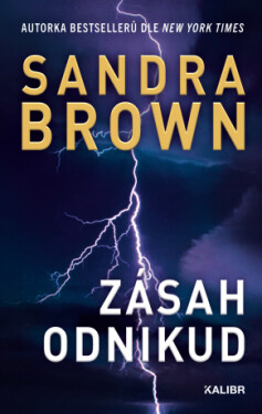 Zásah odnikud - Sandra Brown - e-kniha