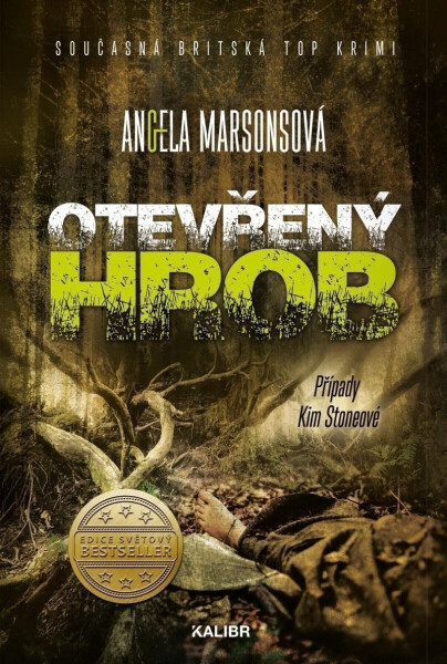 Otevřený hrob (poškozené) - Angela Marsonsová