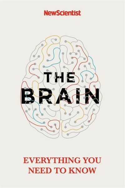 The Brain