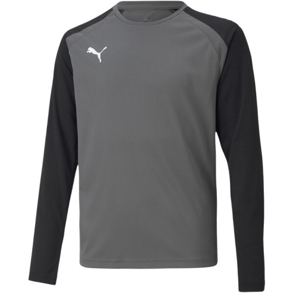 Brankářská mikina Puma teamPacer GK LS Jersey Jr 704939 43