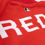 Nike Pánská bunda Cincinnati Reds MLB City Connect 2026 Authentic Dugout Bomber Velikost: S